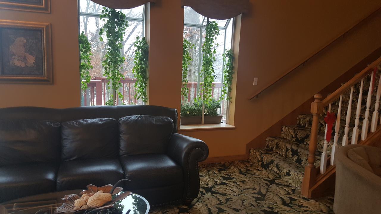 Branson King Resort & Suites Exteriör bild